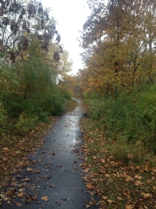 Fall running path 11-5-13